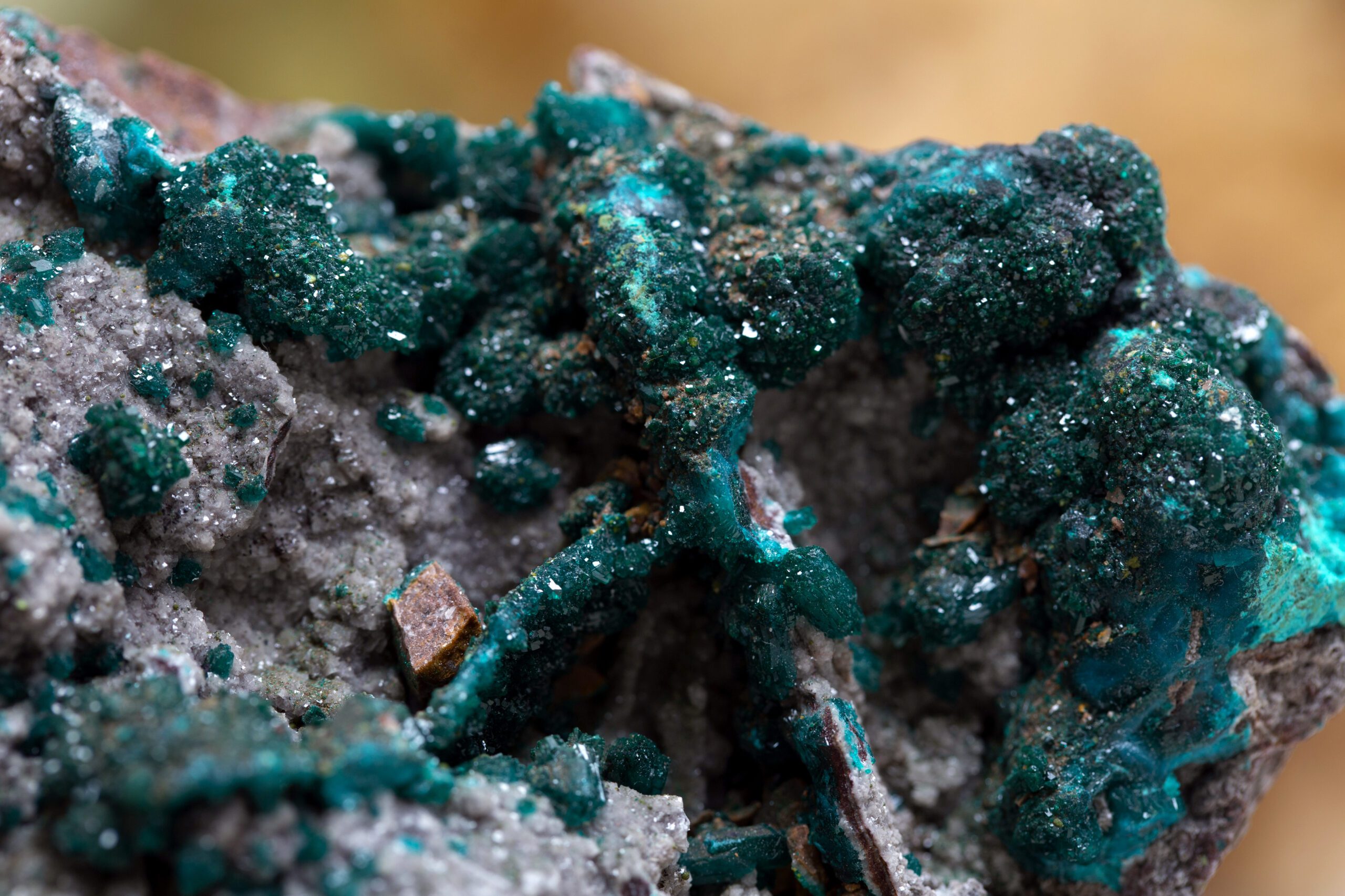 Rare Earth Elements Staffing in Boston MA