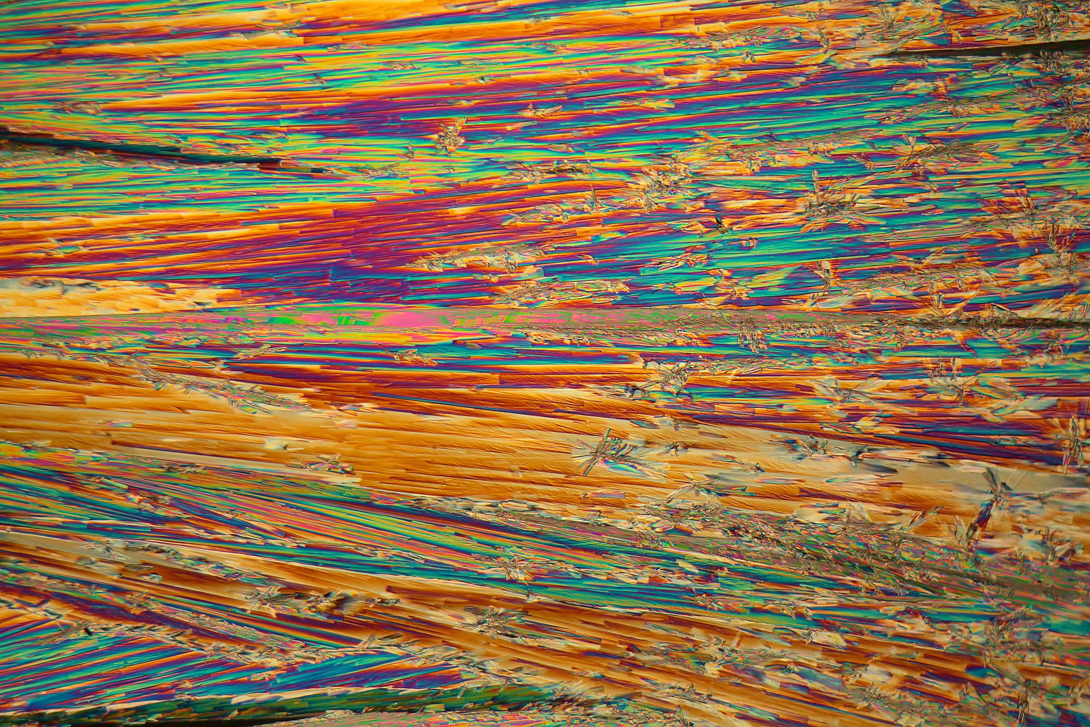 Rare Earth Elements Executive Recruiting Firm in Seattle WA