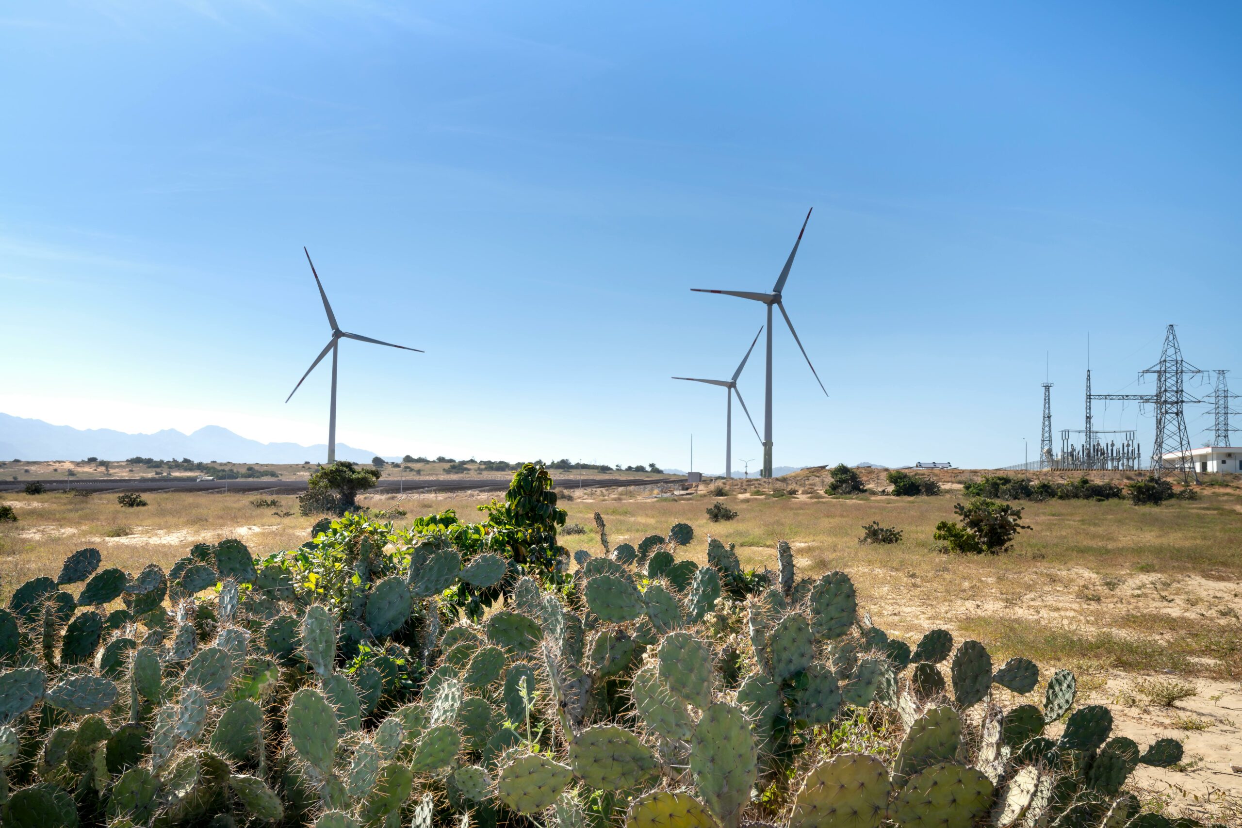 Rare Earth Elements Recruiting Firm in San Diego CA