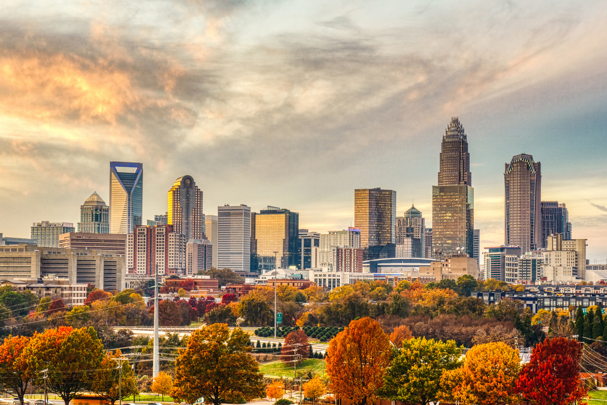 Rare Earth Executive Recruiting Firm in Charlotte, NC