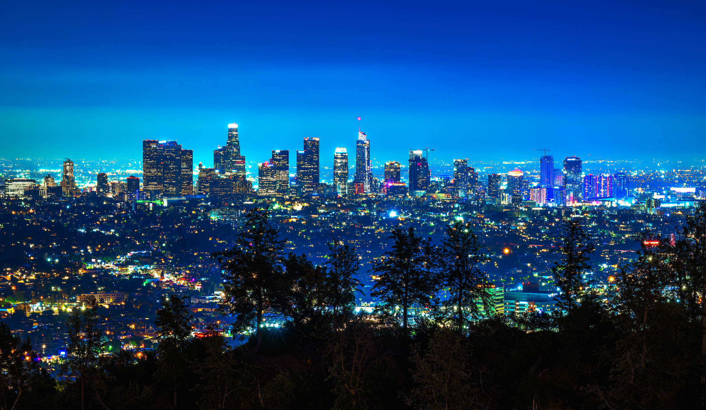 Lithium Ion Executive Search Firm in Los Angeles CA