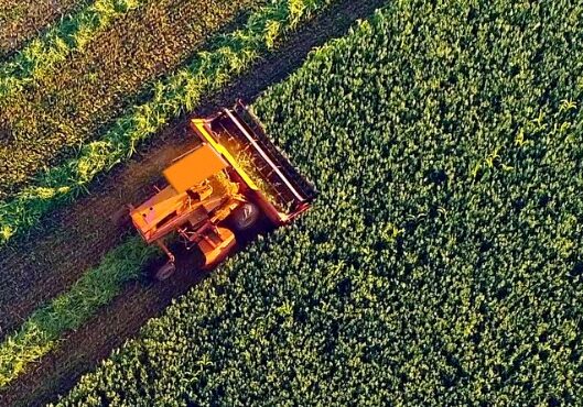 agricultural-harvesting-at-the-last-light-of-day-aerial-view-picture-id832155674